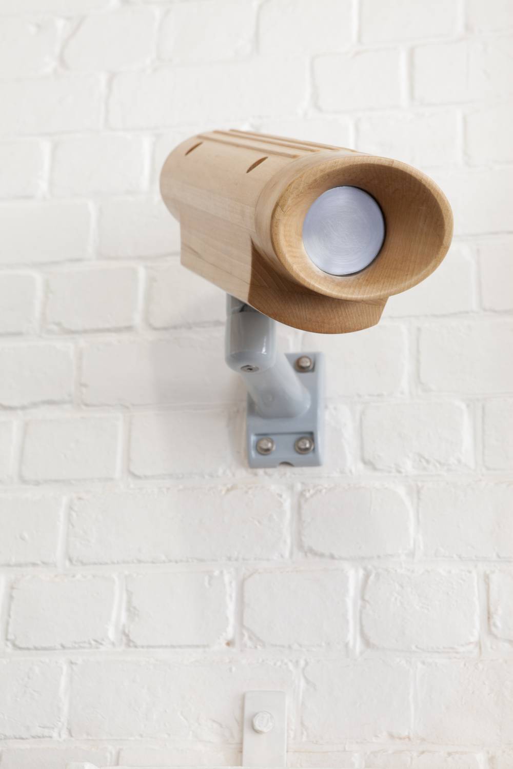Security Camera (Beech), 2015 - Johann van der Schijff
