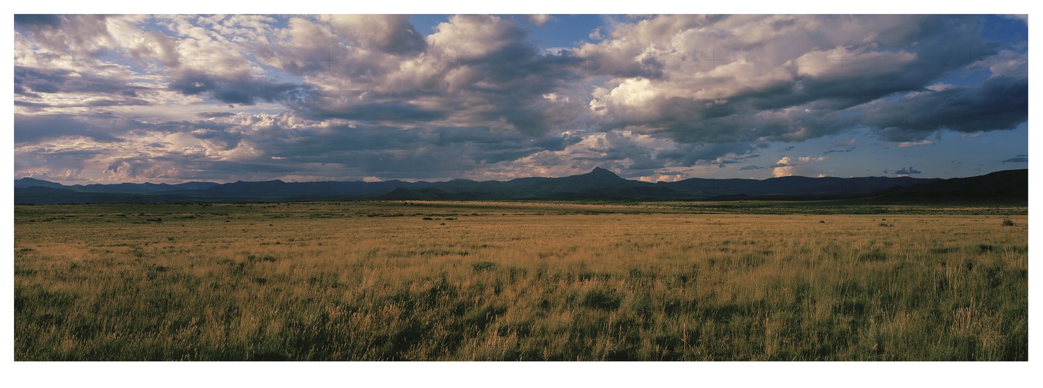 Johann van der Schijff, Grasslands near Graaff-Reinet, 2021