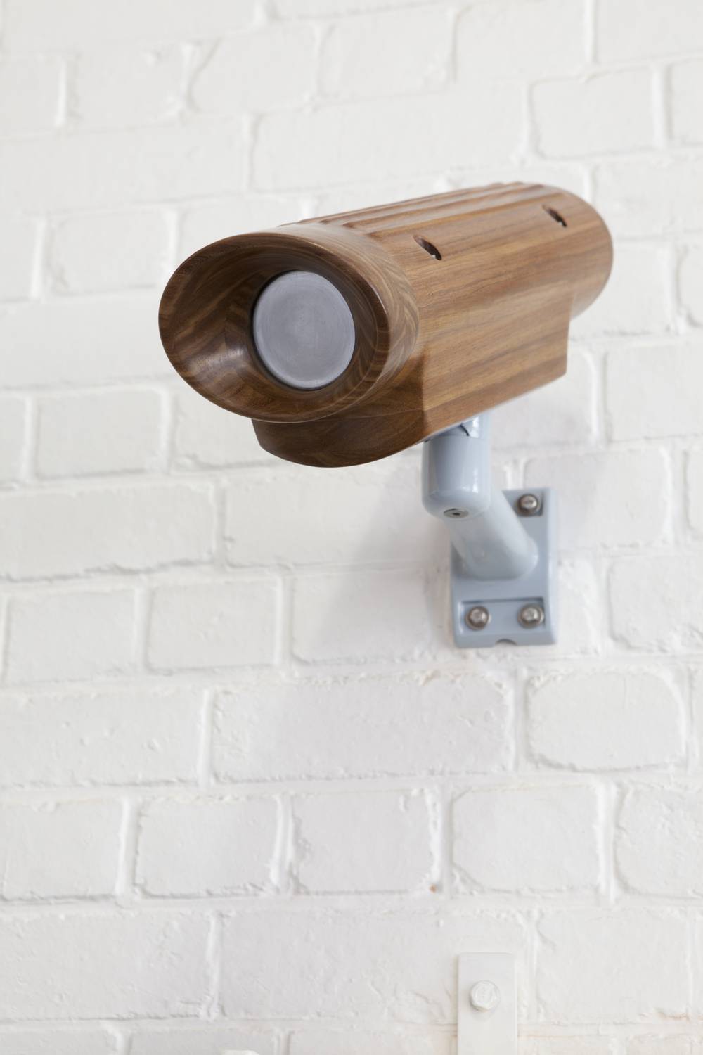 Security Camera (Kiaat), 2015 - Johann van der Schijff