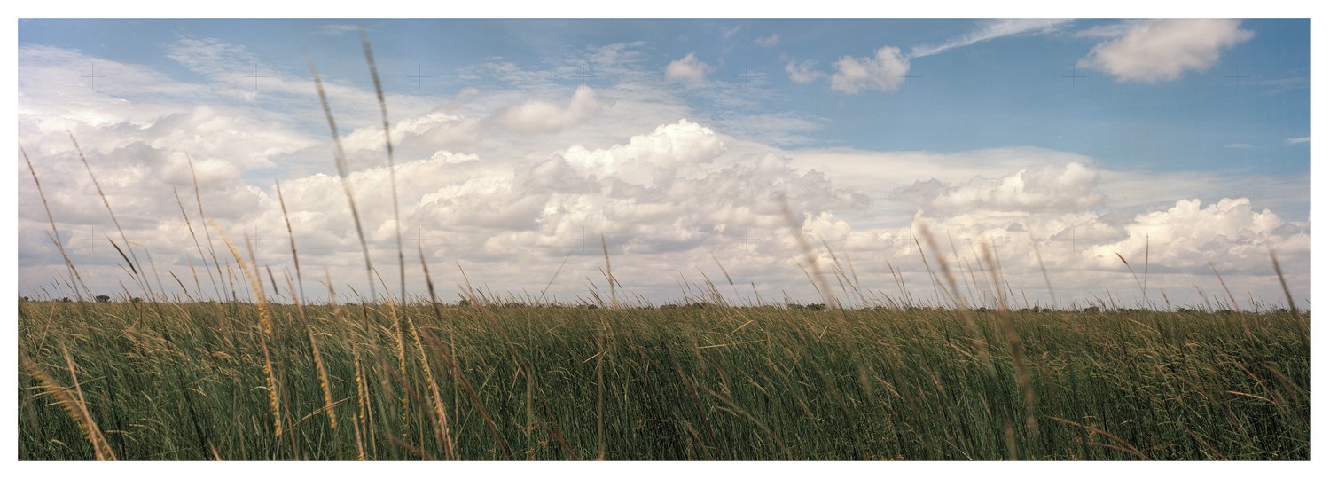 Johann van der Schijff, Grasslands near Katoyana Campsite, 2024